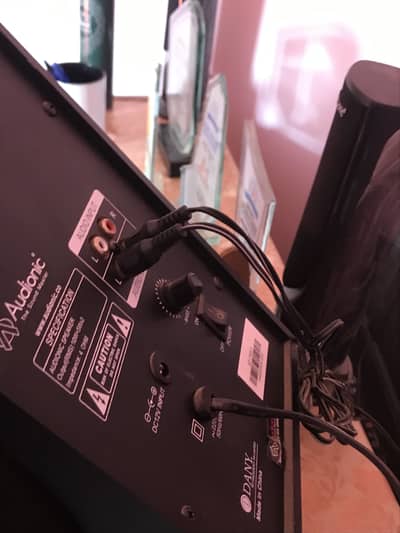 Audionic
