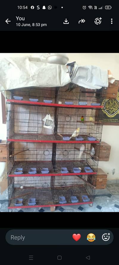 Bird's cage