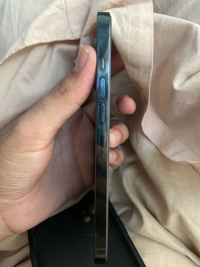 Apple iPhone 13 Pro Max 2