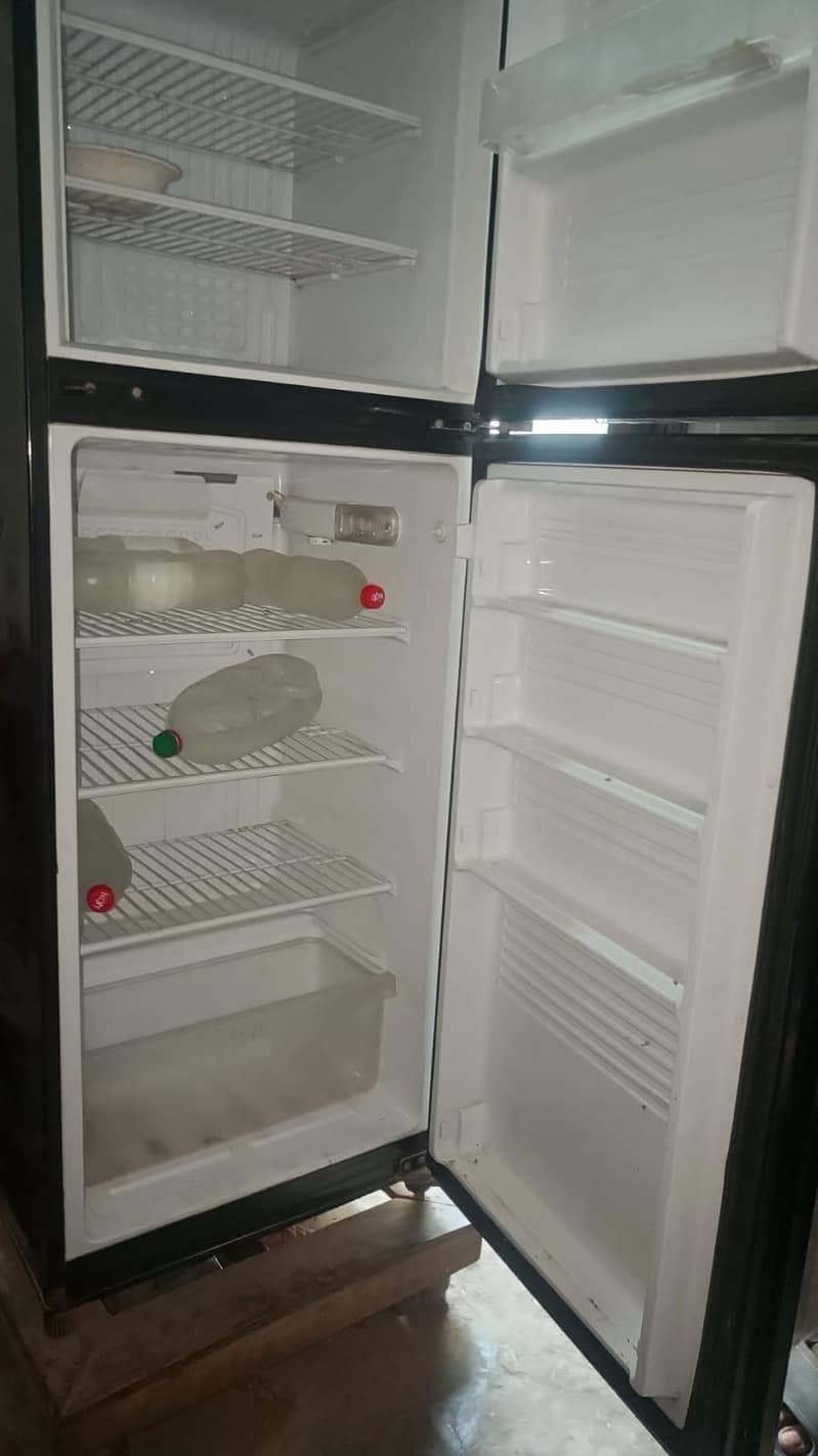 pel Freezer 1