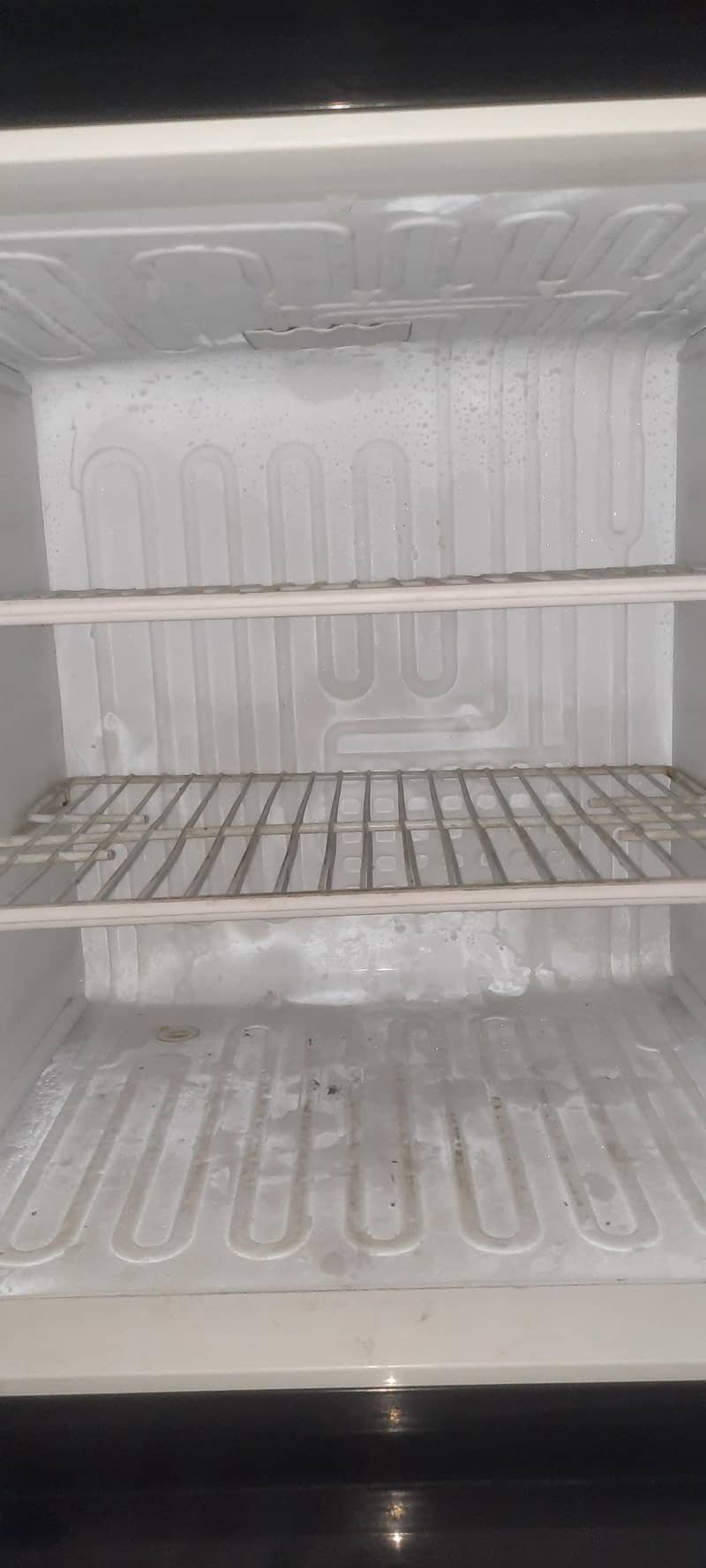 pel Freezer 3