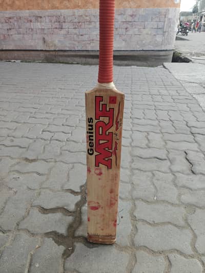 hardball bat