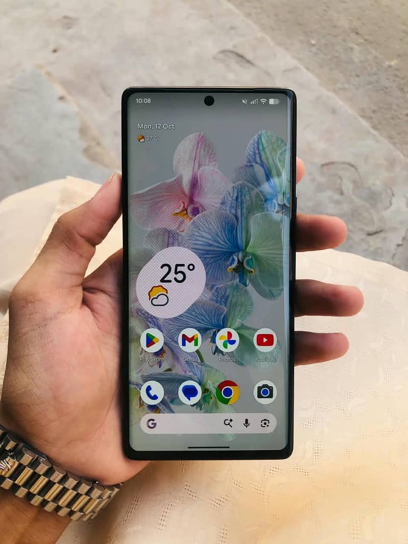 Google Pixel 6 Pro 3