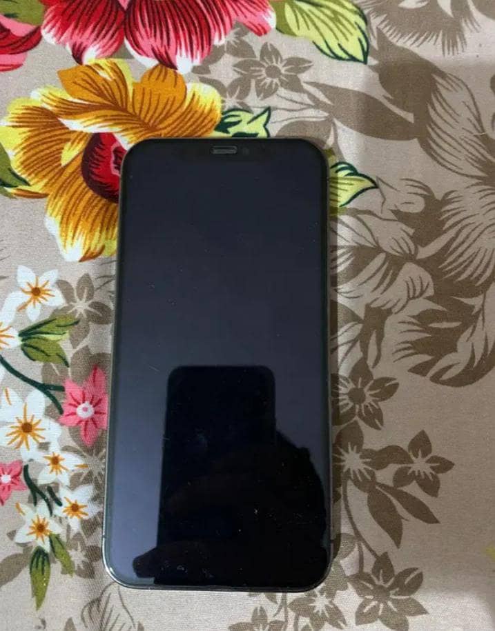 Apple iPhone 12 Pro 3