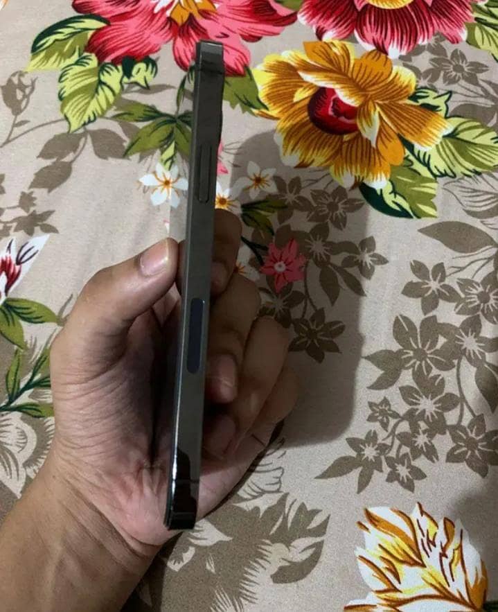 Apple iPhone 12 Pro 4