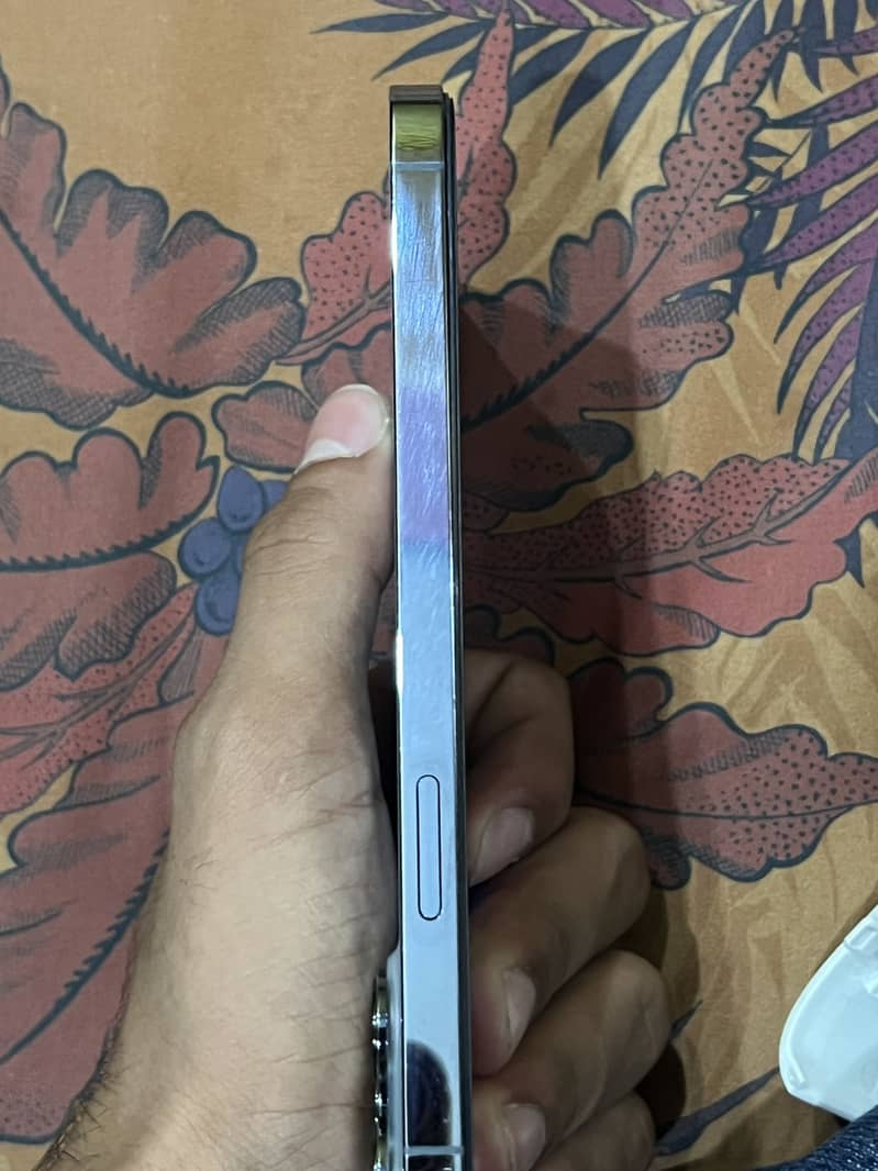 Apple iPhone 13 Pro Max 3