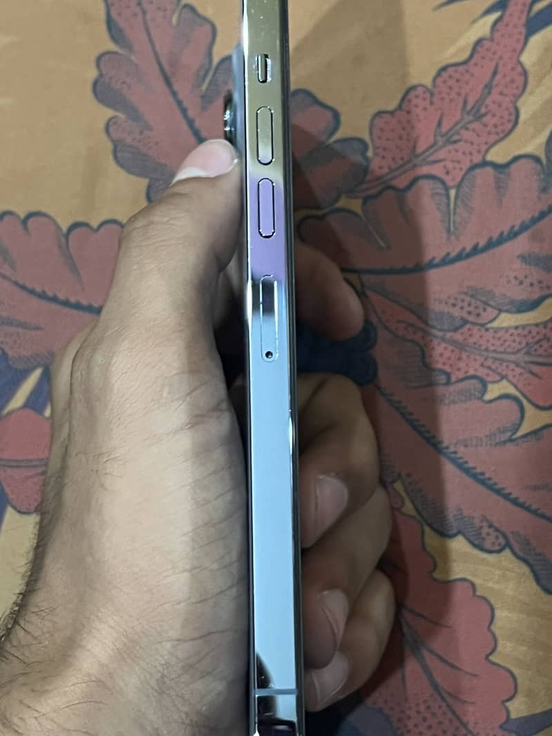 Apple iPhone 13 Pro Max 5
