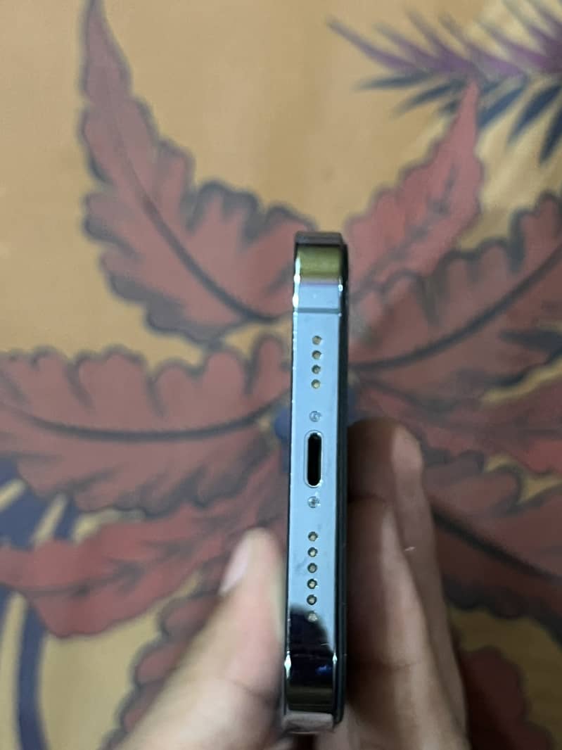 Apple iPhone 13 Pro Max 6