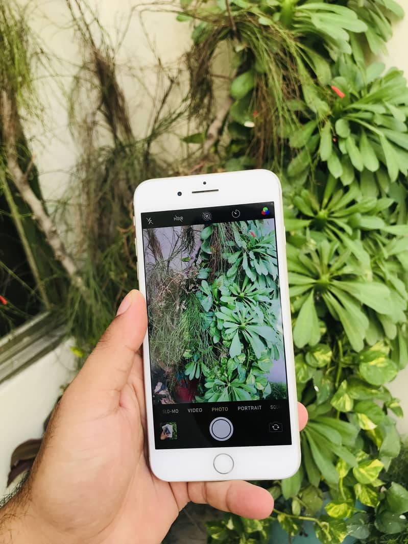 Apple iPhone 7 Plus 3