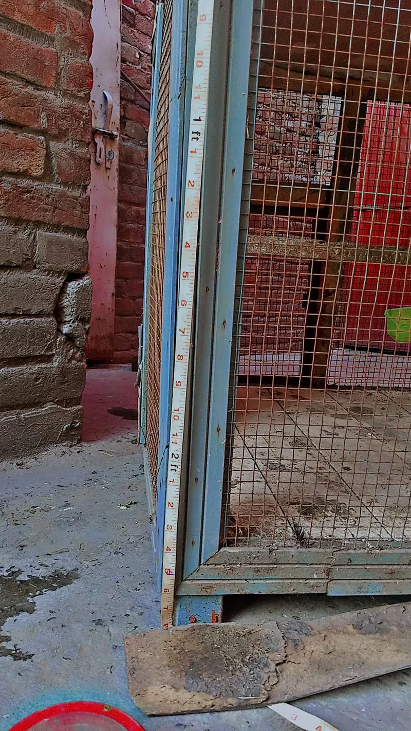 Aseel wood cage with iron door  urgent sale good condition — photo 7