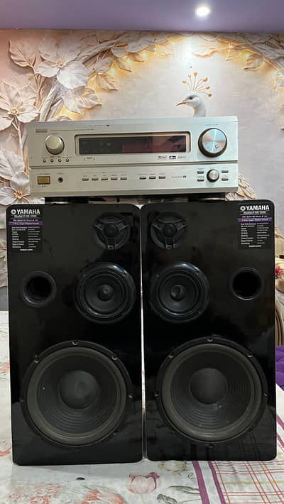 DENON Amplifier with 2 Large Speakers – Complete Sound System