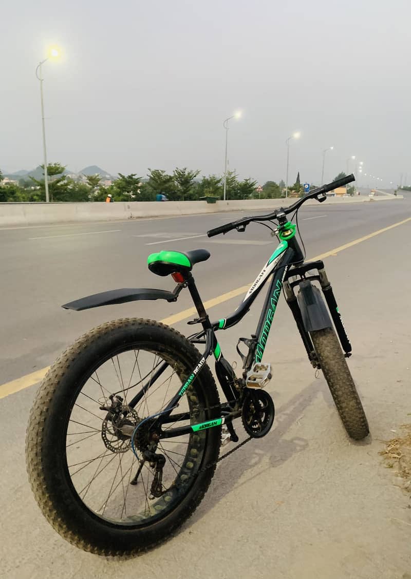 Mountain Bicycle 2