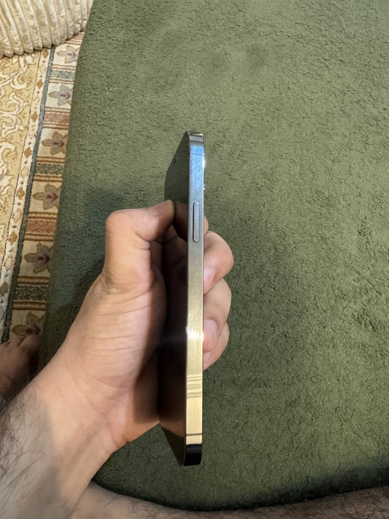 Apple iPhone 12 pro 4