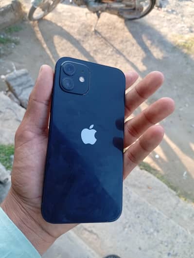 Apple iPhone 12