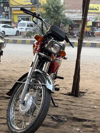 All new standard bike