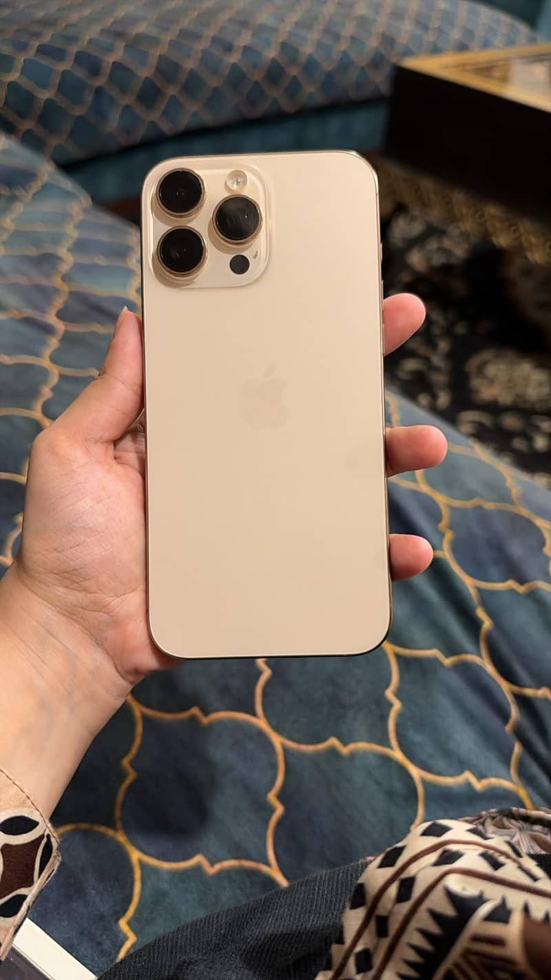 Apple iPhone 16 Pro Max 1