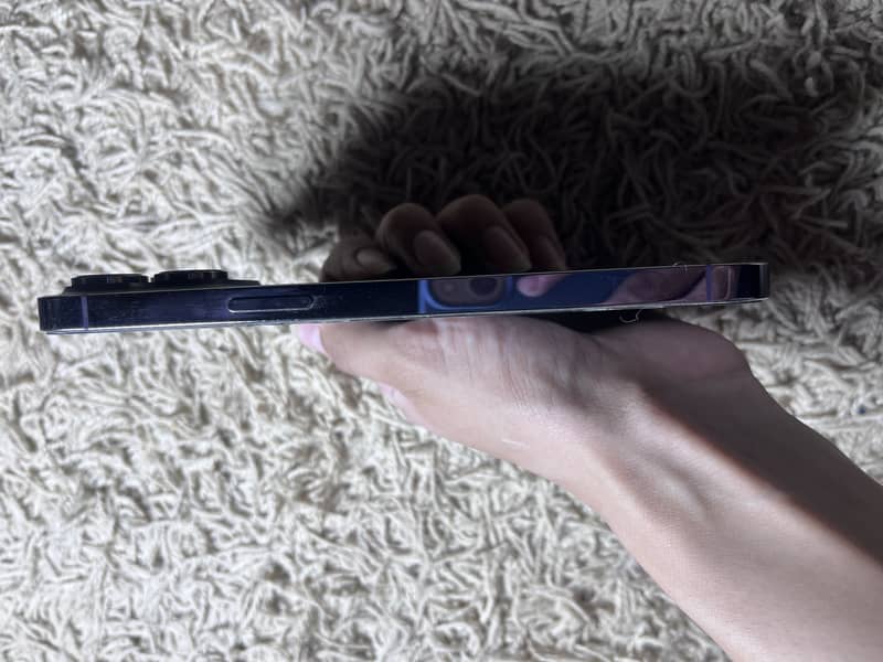 Apple iPhone 14 Pro Max 3