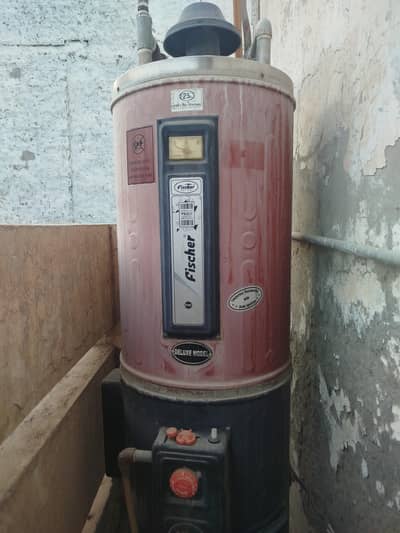 Fischer Electric and Gas Water Geyser