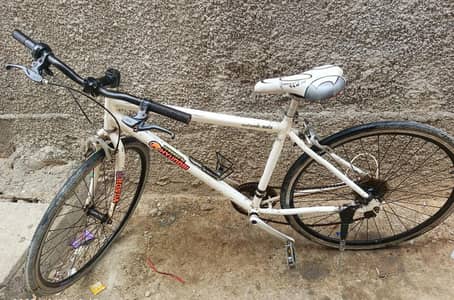 Original branded cycle light wieght
