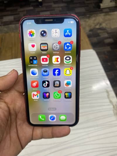 Apple iPhone 11