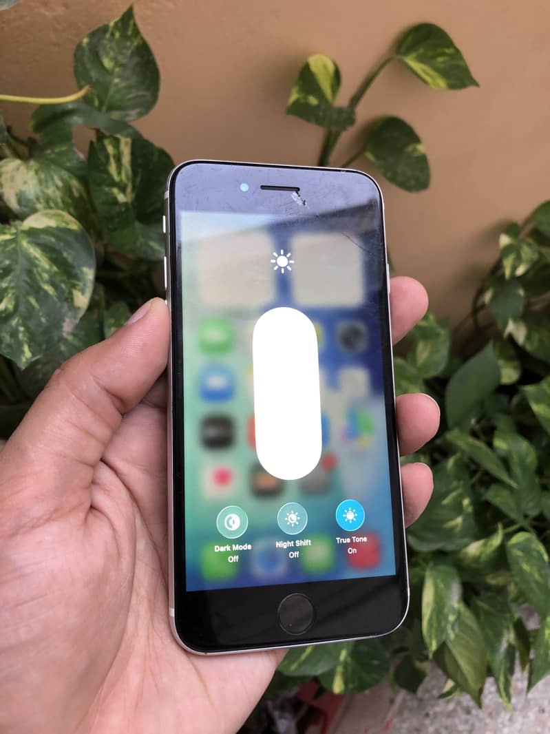 Apple iPhone SE 1