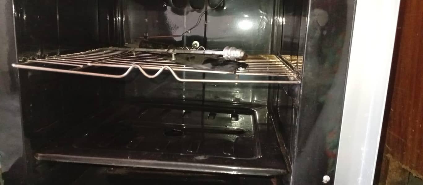 baking oven 1