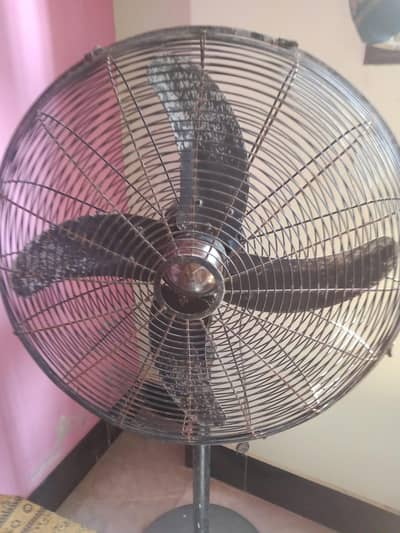 Pedestal Fan 99.99% Coper