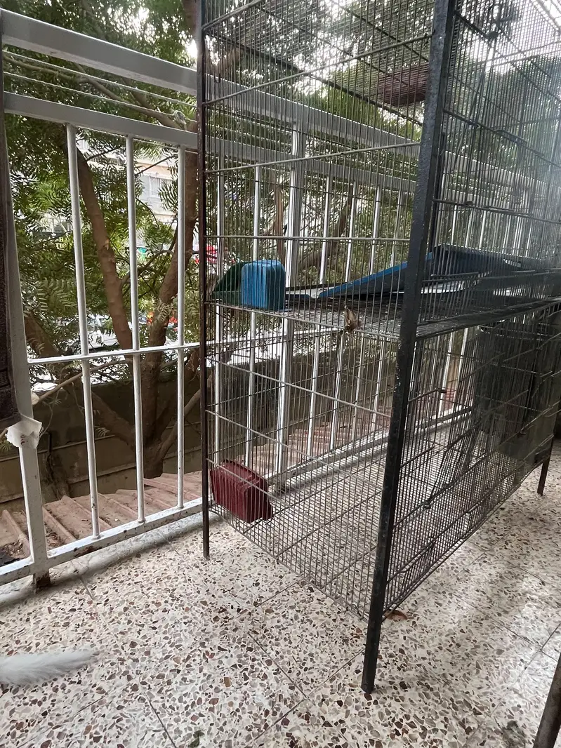big cage — photo 2