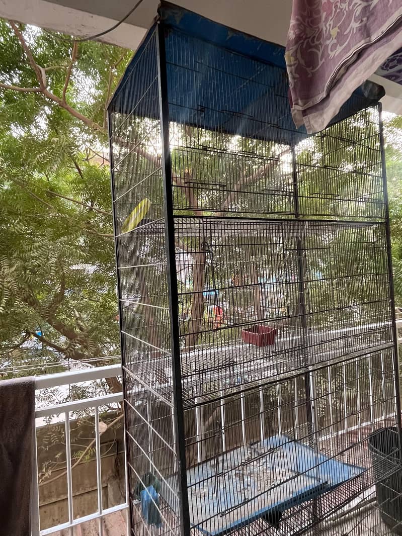 big cage 2