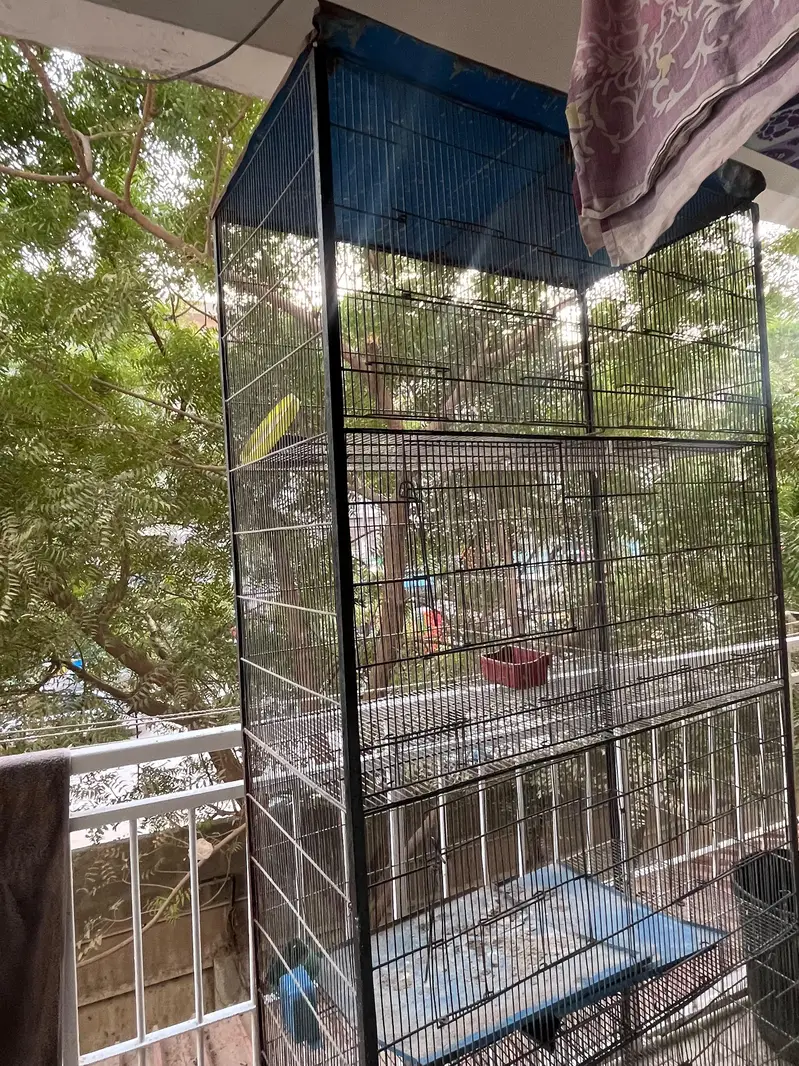 big cage — photo 3