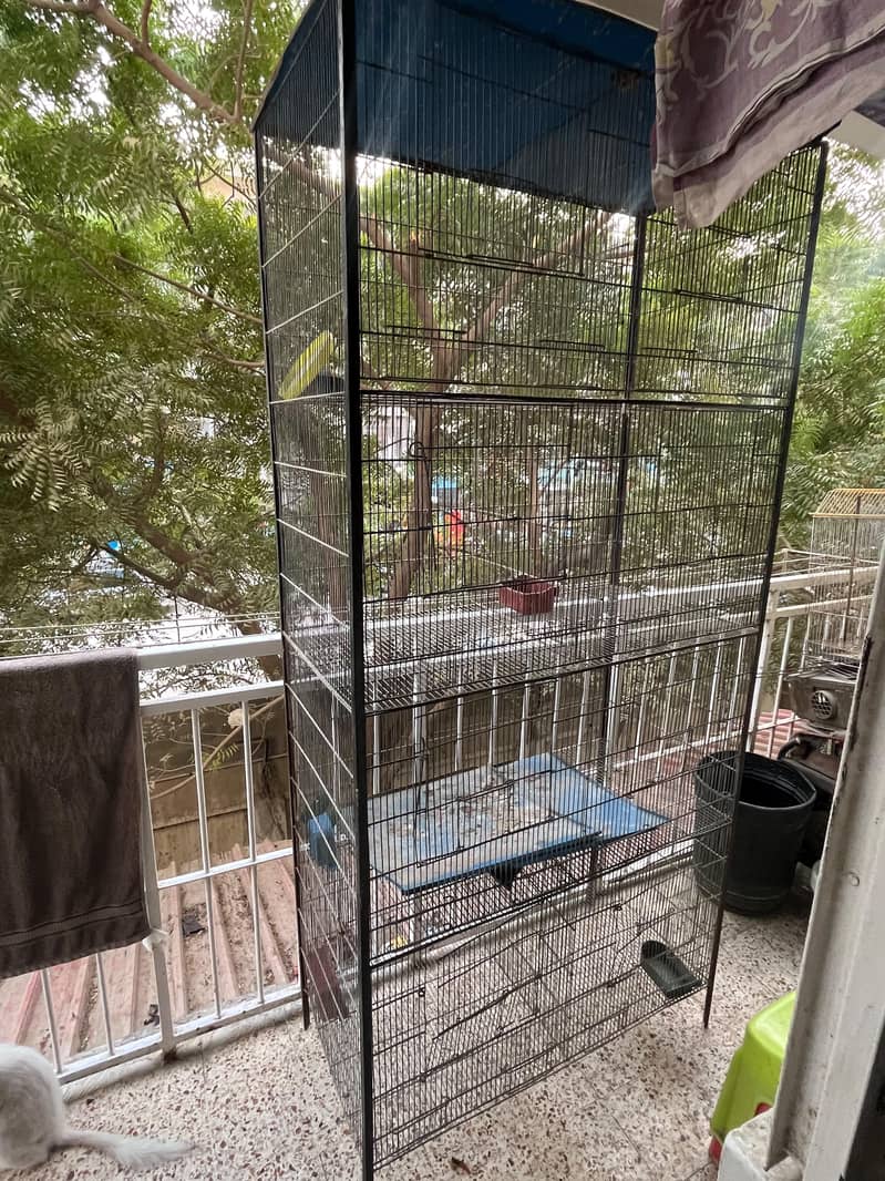big cage 3