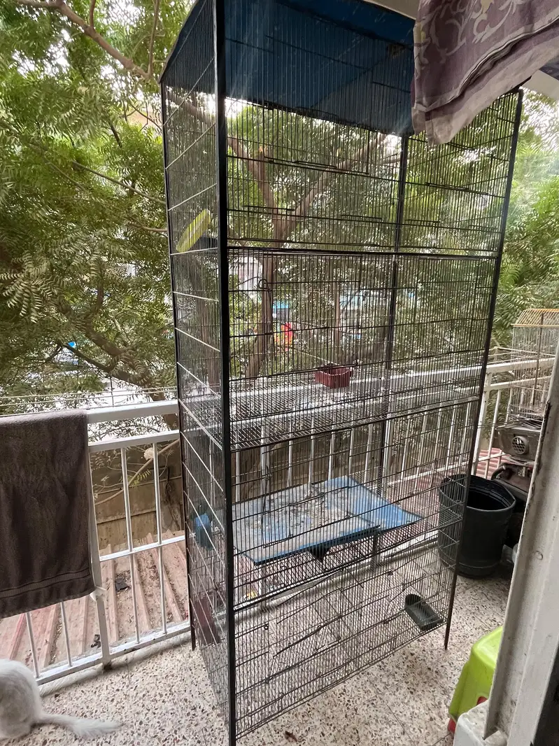 big cage — photo 4