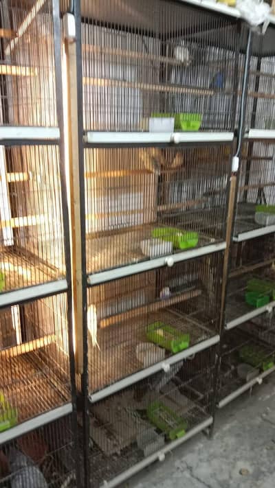 Bird Cage for Sale – Good Condition