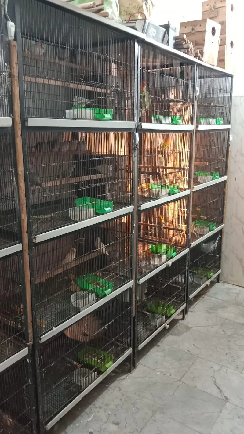 Bird Cage for Sale – Good Condition — photo 3