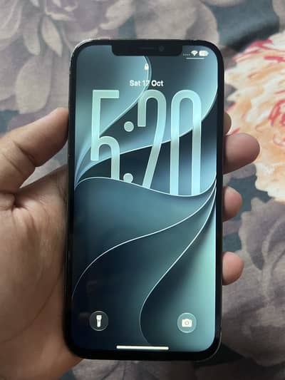 Apple iPhone 12 Pro Max