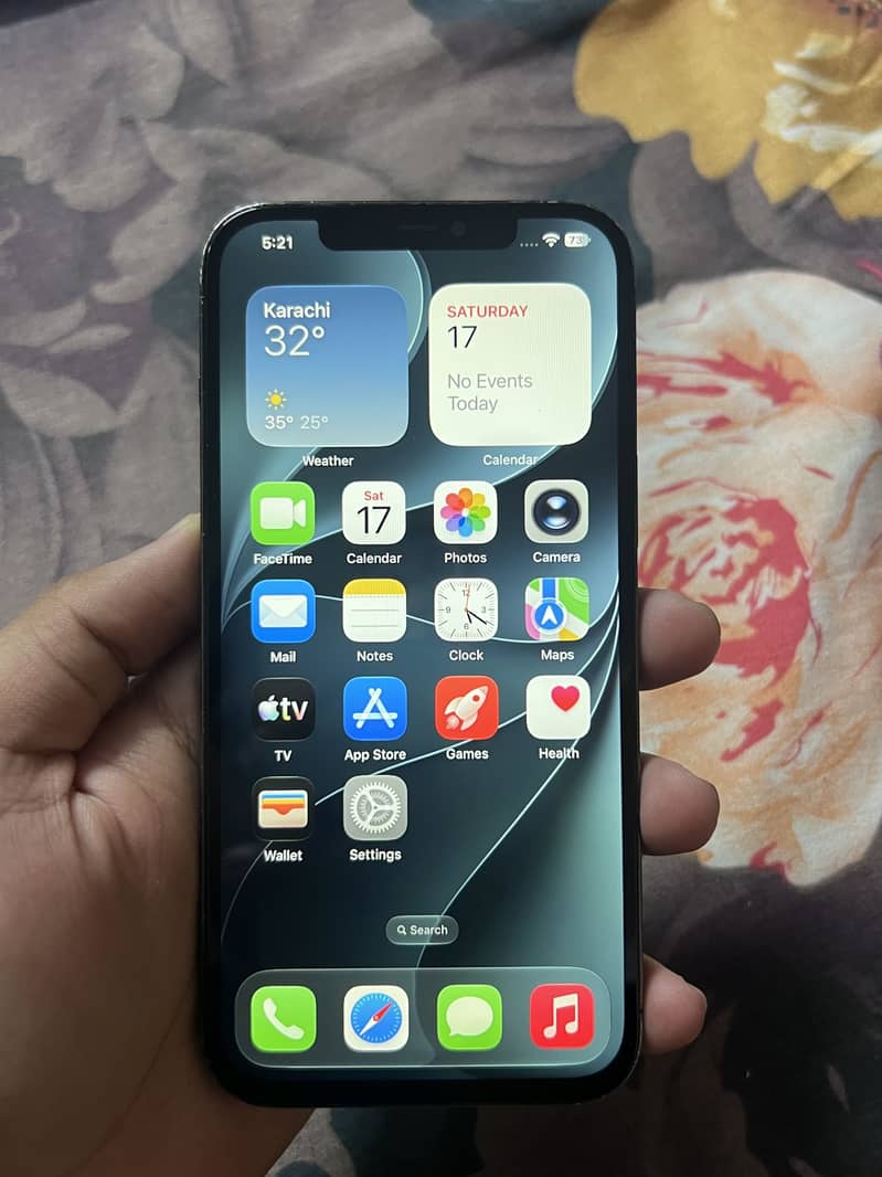 Apple iPhone 12 Pro Max 1