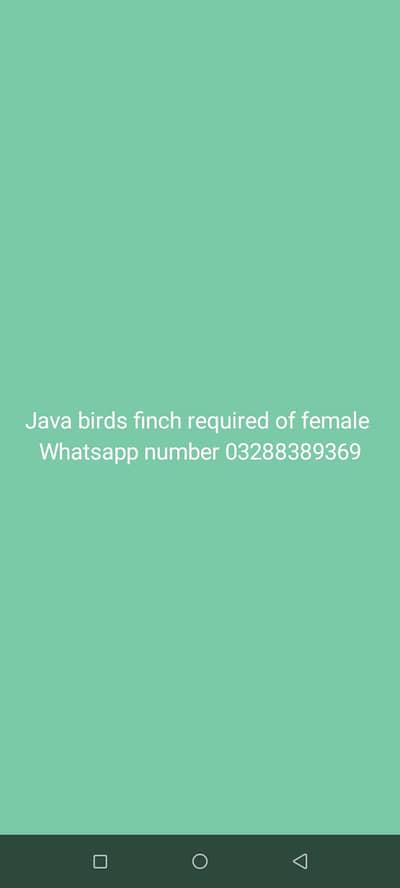 Whatsapp 03288389369