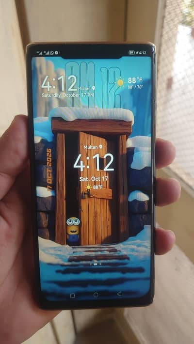 Hawaii mate 30 pro 5g 8 256 gb