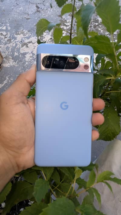 Google Pixel 8 Pro pta