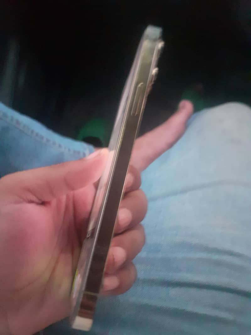 Apple iPhone 13 Pro Max 0