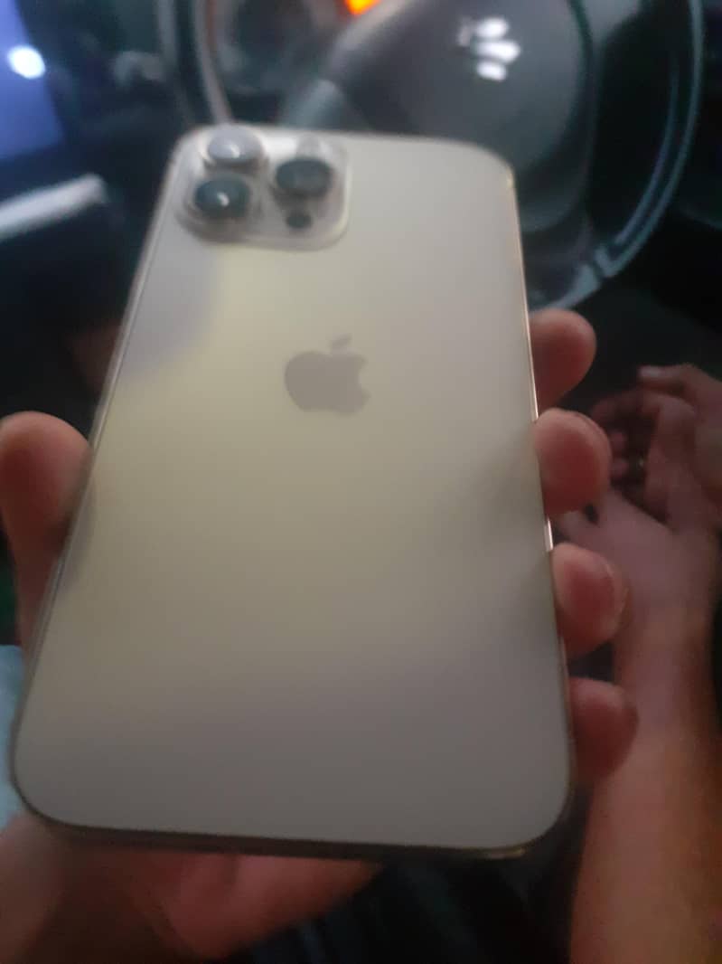 Apple iPhone 13 Pro Max 2