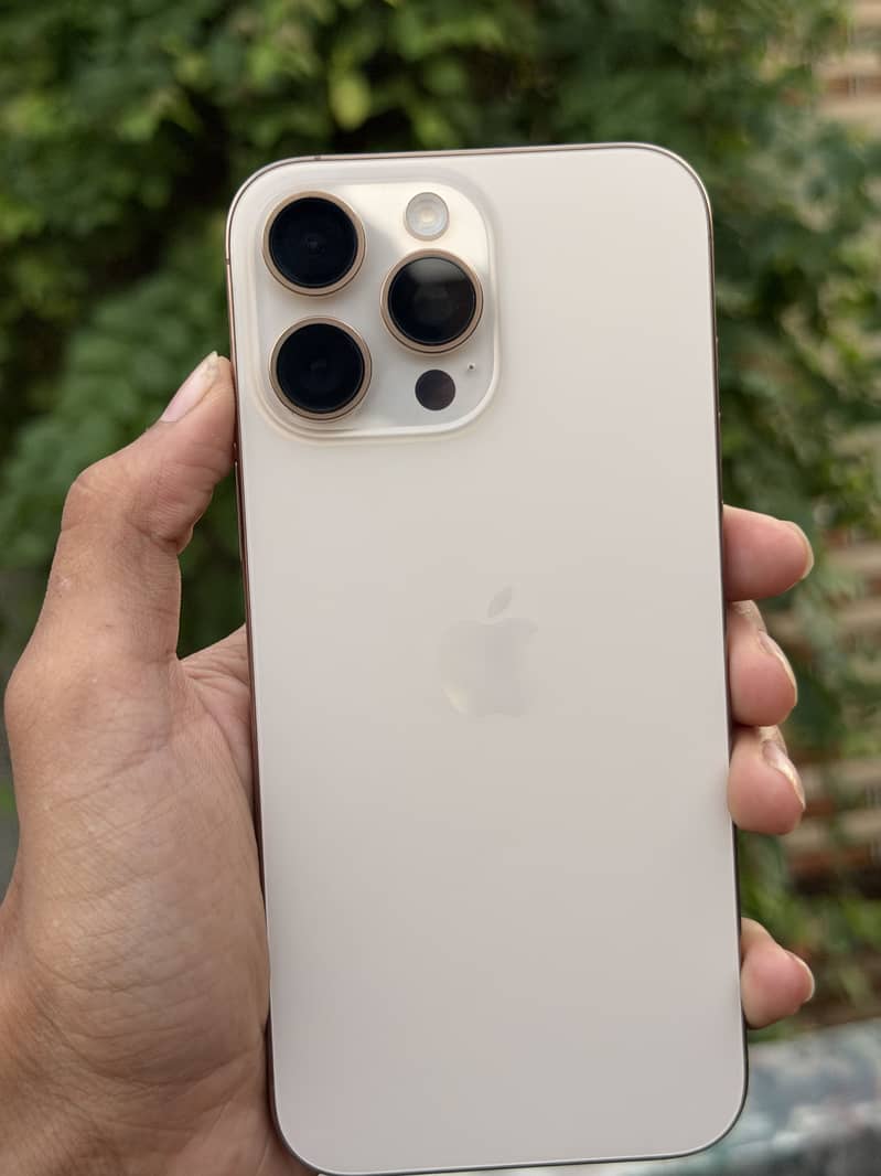 Apple iPhone 16 Pro Max 1