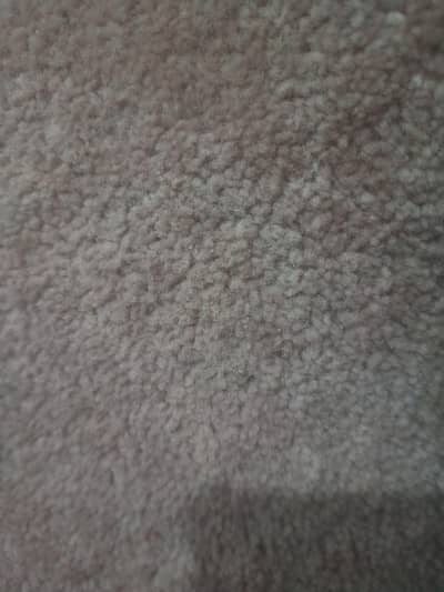 Carpet
