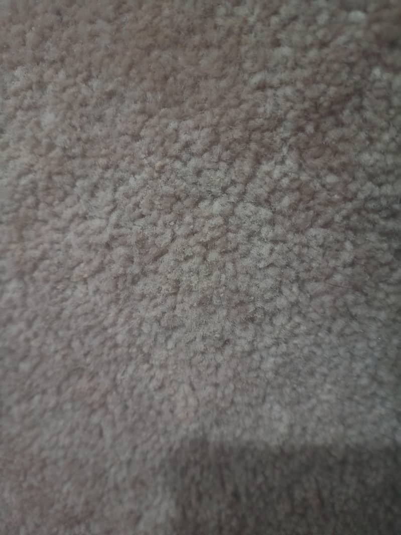 Carpet 0