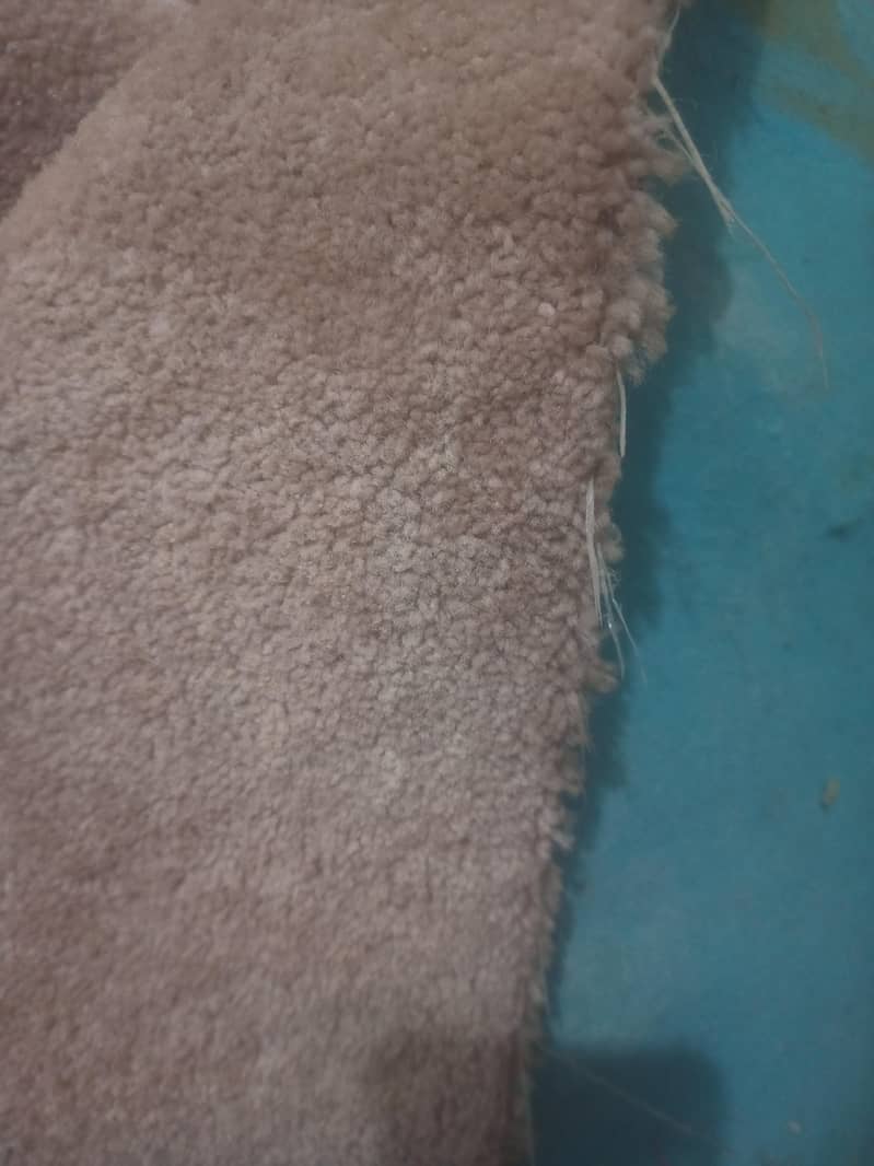 Carpet 1
