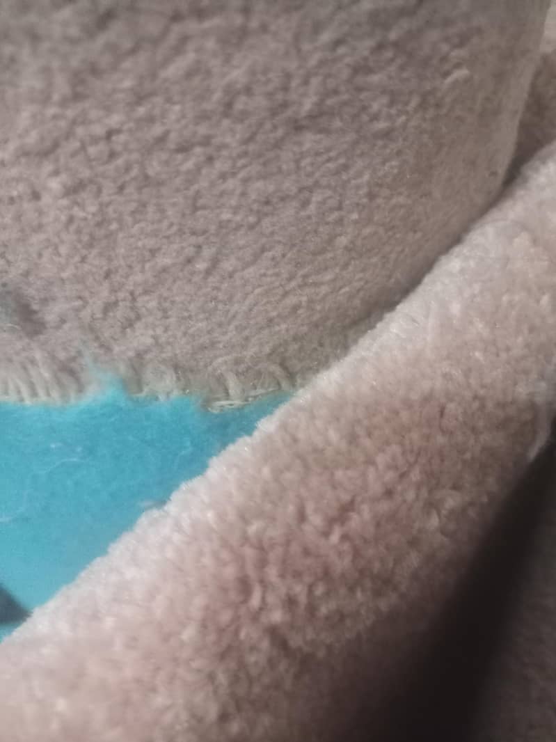 Carpet 2