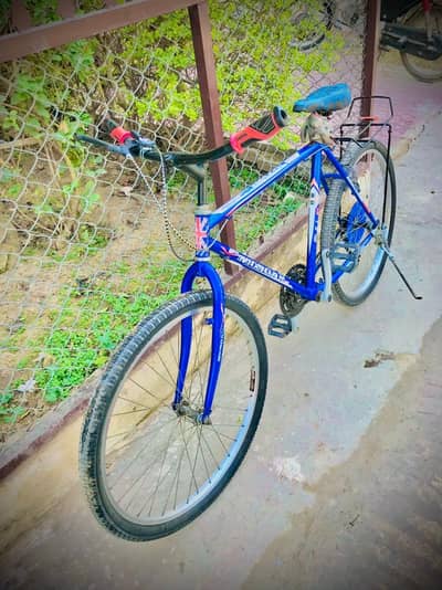 phonex janion Morgan cycle