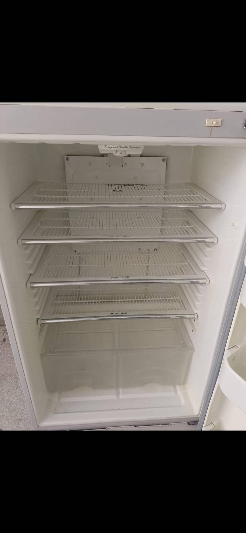 Fridge 5