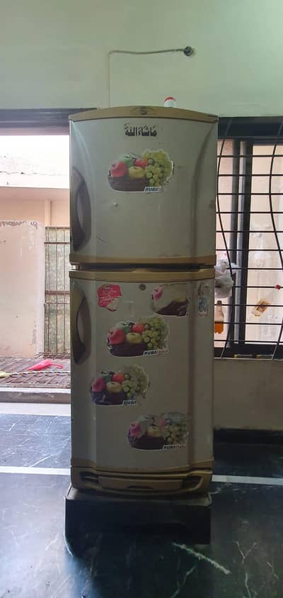 Pel refrigerator 2 door medium size