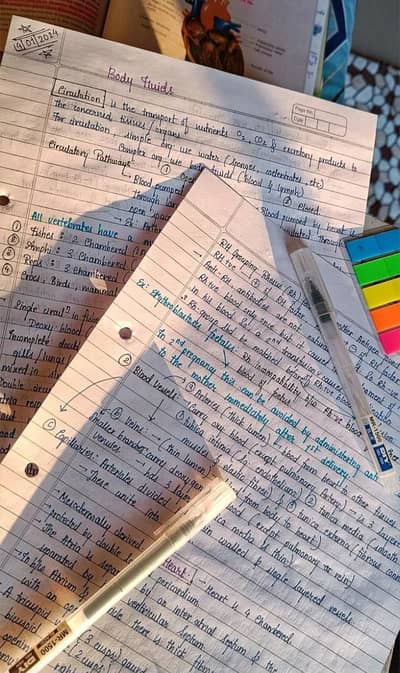 Handwritten Notes and Document Copying Service